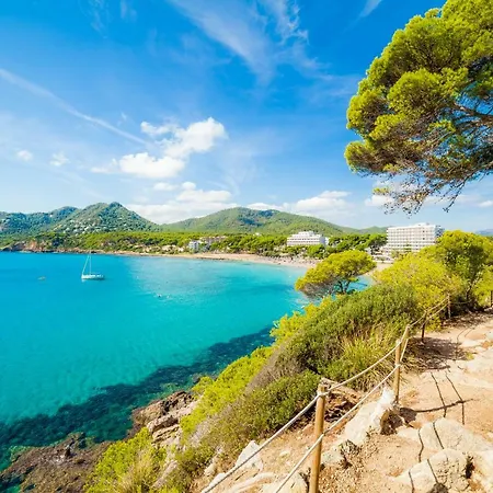 Sa Torre By Sureda Mas Apartment Canyamel (Mallorca)